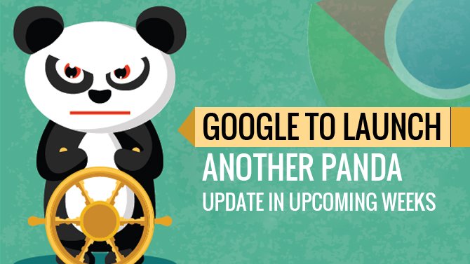 Google-to-Launch-Another-Panda-Update-in-Upcoming-Weeks