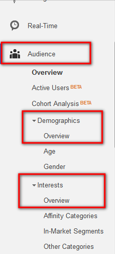 Custom Audience Segments